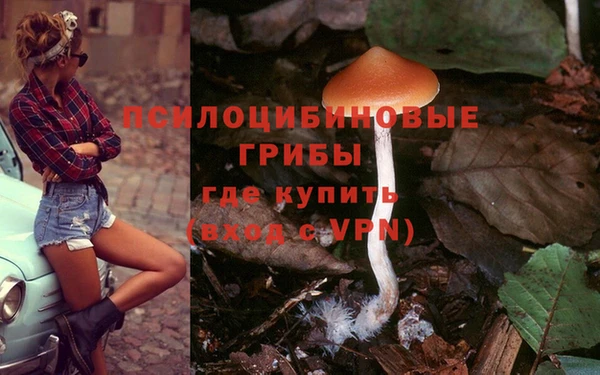 mdpv Нефтекумск