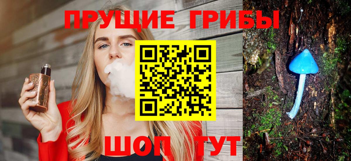 Камышлов  Псилоцибиновые грибы мицелий  где найти   Вход с VPN 