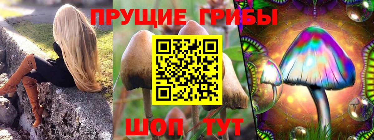 COCAIN Камышлов