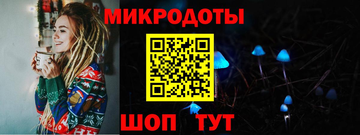 Псилоцибиновые грибы MAGIC MUSHROOMS  Псилоцибиновые грибы прущие грибы  Камышлов 